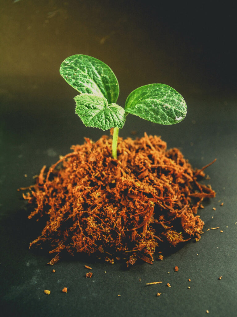 compost