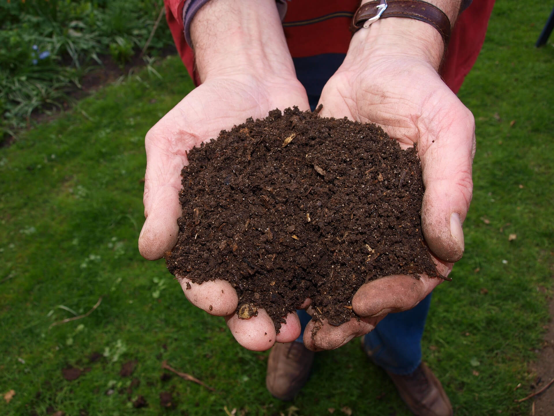 Hands in with compost