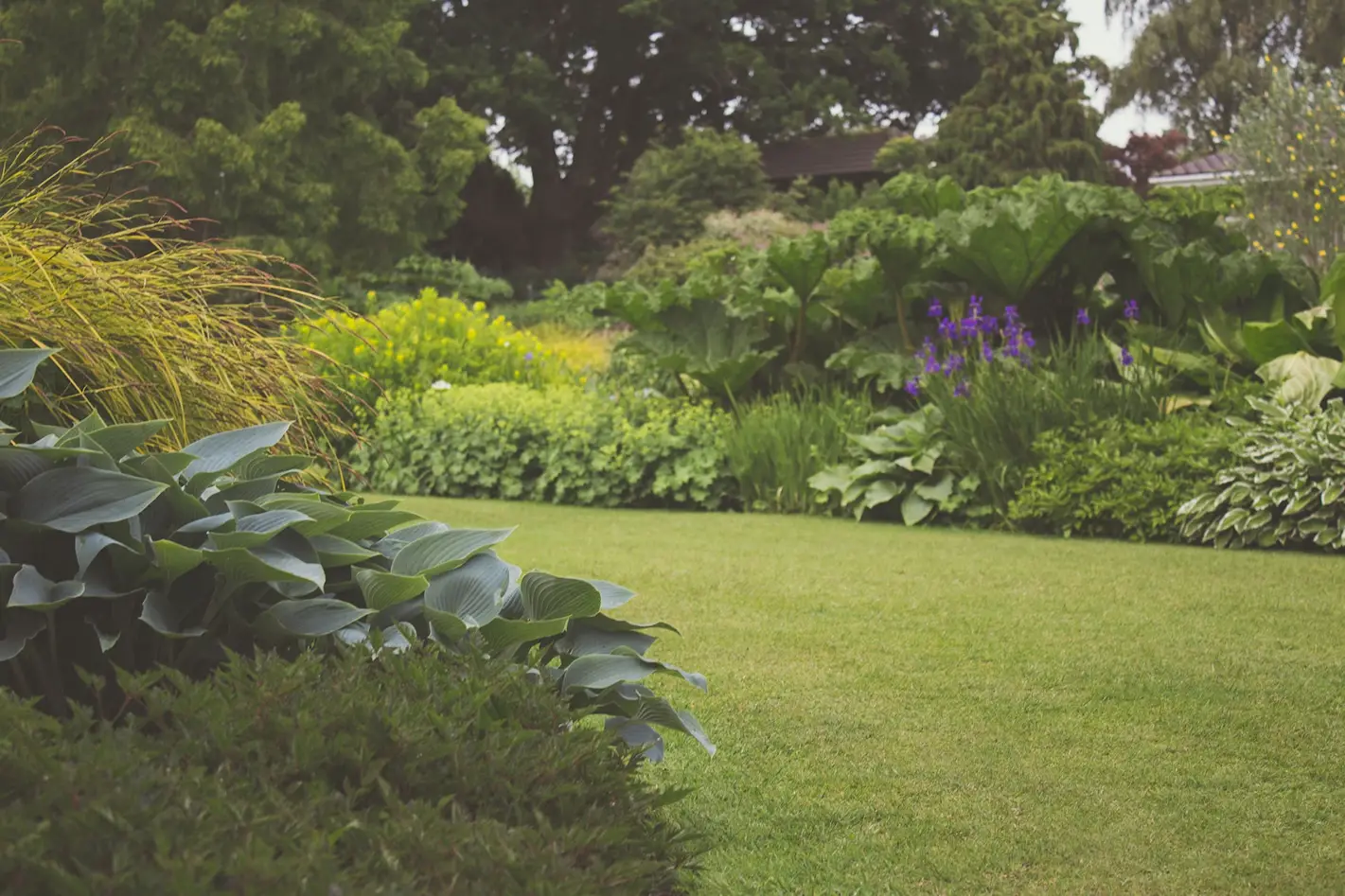 green-garden-lawn