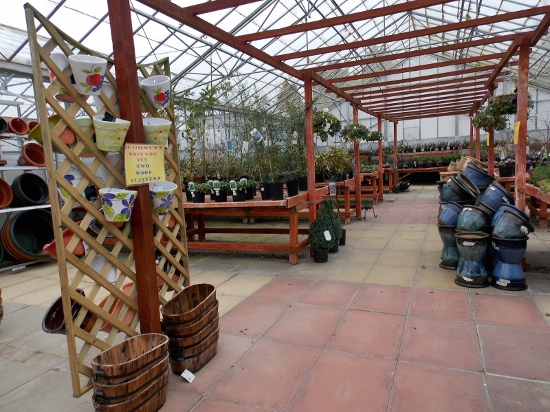 Sherington Plant Shop